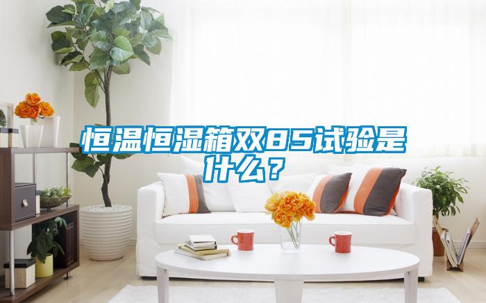恒溫恒濕箱雙85試驗是什麽？