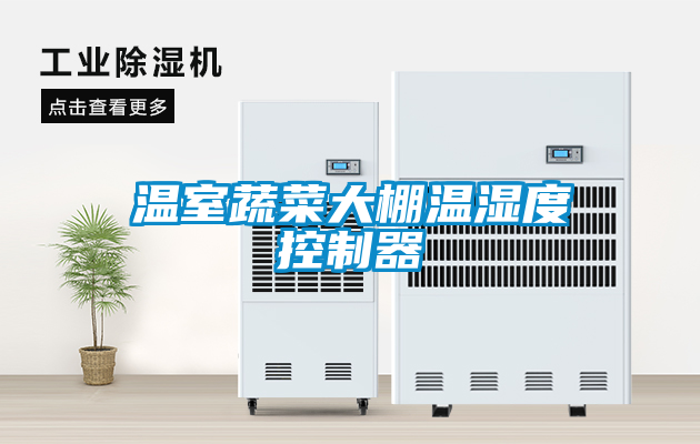 溫室蔬菜大棚溫濕度控製器