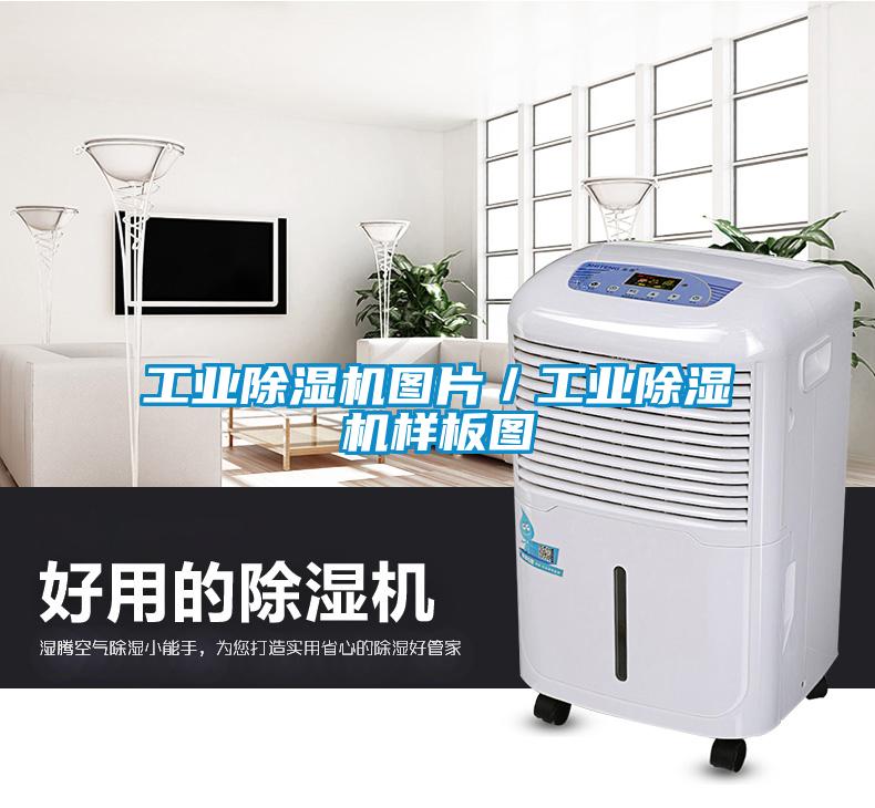 工業草莓视频下载网址圖片／工業草莓视频下载网址樣板圖
