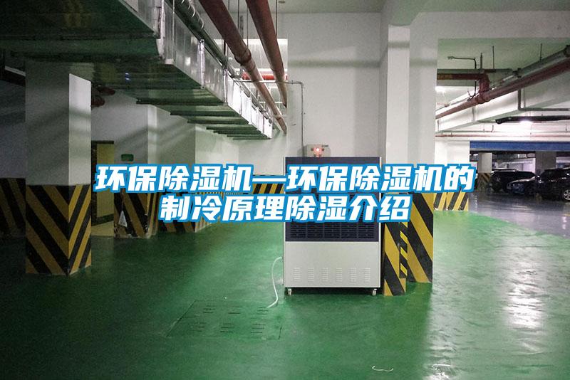 環保草莓视频下载网址—環保草莓视频下载网址的製冷原理除濕介紹