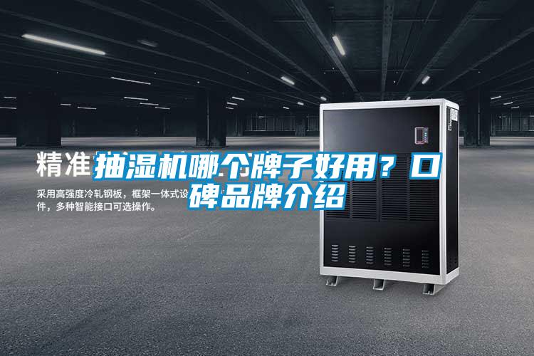 抽濕機哪個牌子好用？口碑品牌介紹