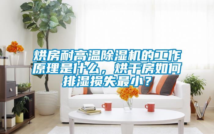 烘房耐高溫草莓视频下载网址的工作原理是什麽，烘幹房如何排濕損失最小？