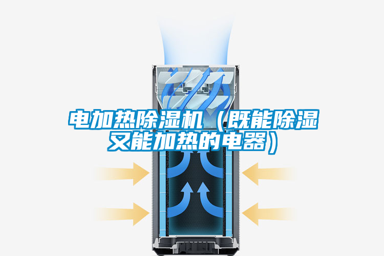 電加熱草莓视频下载网址（既能除濕又能加熱的電器）