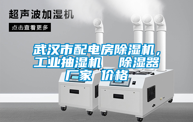 武漢市配電房草莓视频下载网址，工業抽濕機  除濕器廠家 價格