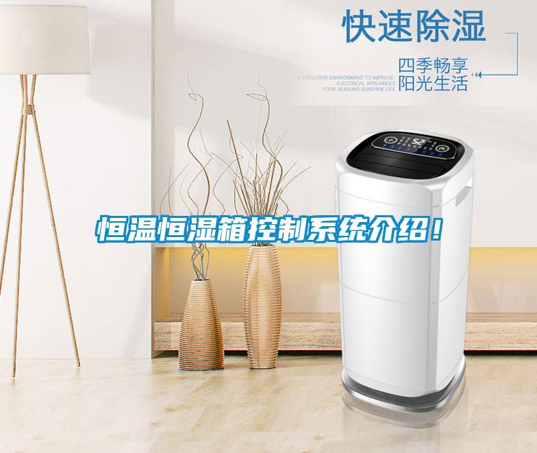 恒溫恒濕箱控製係統介紹！