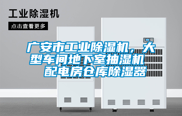 廣安市工業草莓视频下载网址，大型車間地下室抽濕機  配電房倉庫除濕器