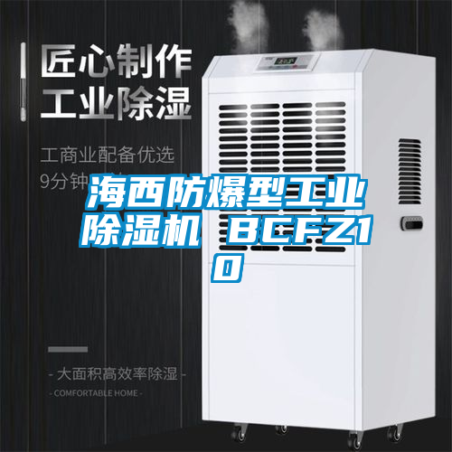 海西防爆型工業草莓视频下载网址 BCFZ10