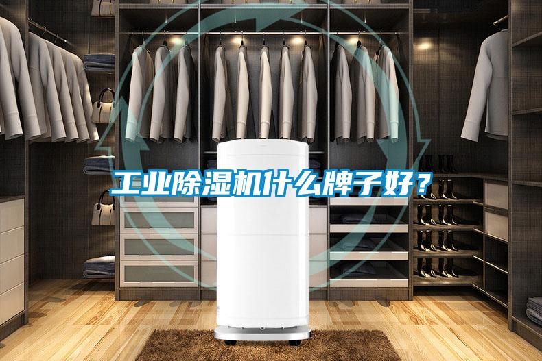 工業草莓视频下载网址什麽牌子好？