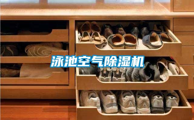 泳池空氣草莓视频下载网址