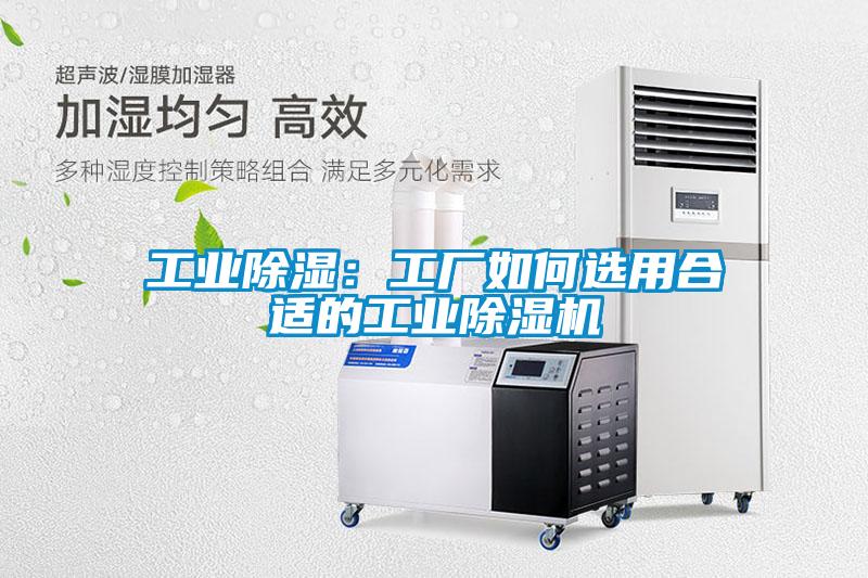 工業除濕：工廠如何選用合適的工業草莓视频下载网址