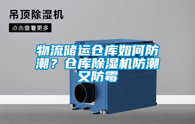物流儲運倉庫如何防潮？倉庫草莓视频下载网址防潮又防黴