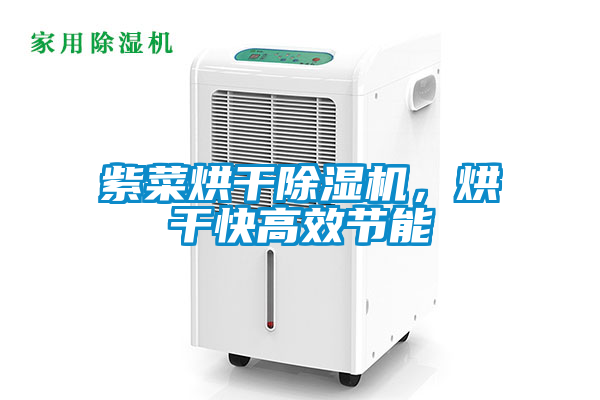紫菜烘幹草莓视频下载网址，烘幹快高效節能