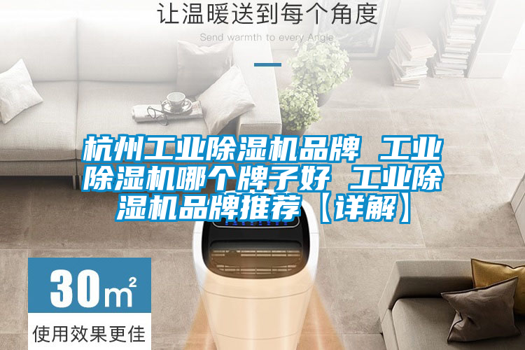 杭州工業草莓视频下载网址品牌 工業草莓视频下载网址哪個牌子好 工業草莓视频下载网址品牌推薦【詳解】