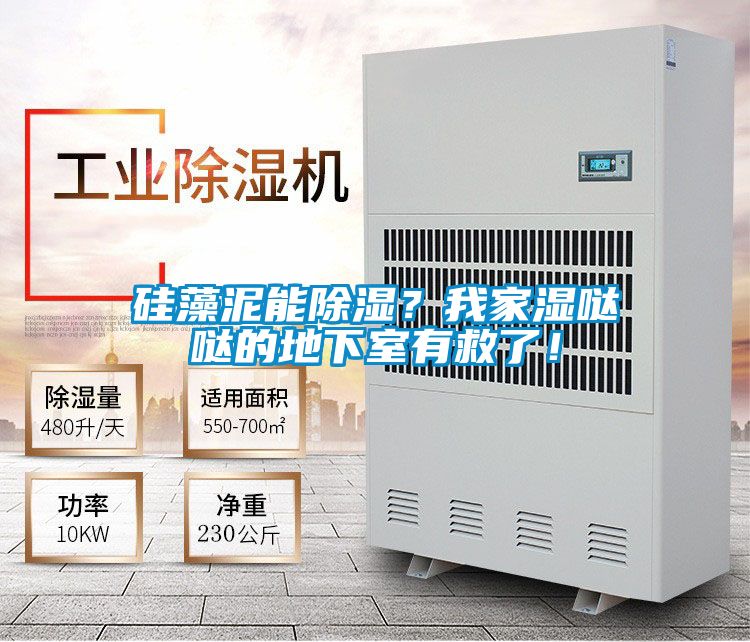 矽藻泥能除濕？我家濕噠噠的地下室有救了！