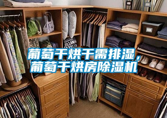 葡萄幹烘幹需排濕，葡萄幹烘房草莓视频下载网址