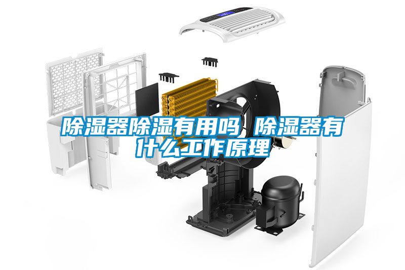 除濕器除濕有用嗎 除濕器有什麽工作原理