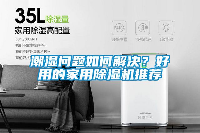 潮濕問題如何解決？好用的家用草莓视频下载网址推薦