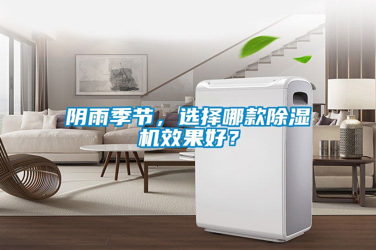 陰雨季節，選擇哪款草莓视频下载网址效果好？