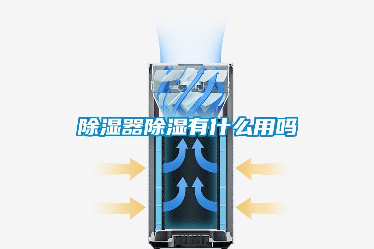除濕器除濕有什麽用嗎