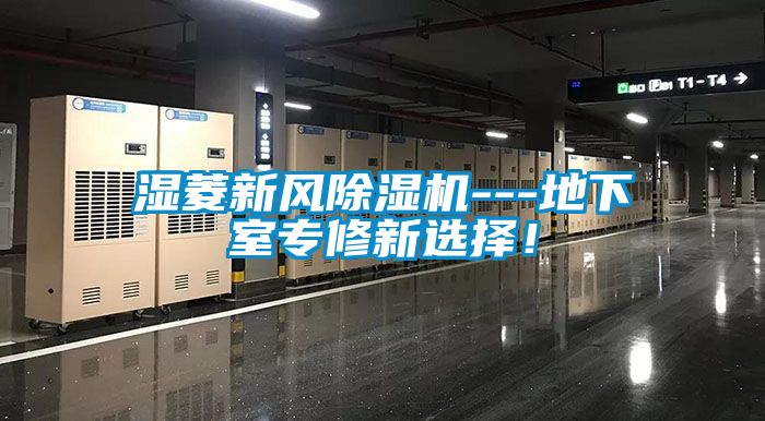 濕菱新風草莓视频下载网址---地下室專修新選擇！