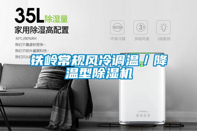 鐵嶺常規風冷調溫／降溫型草莓视频下载网址