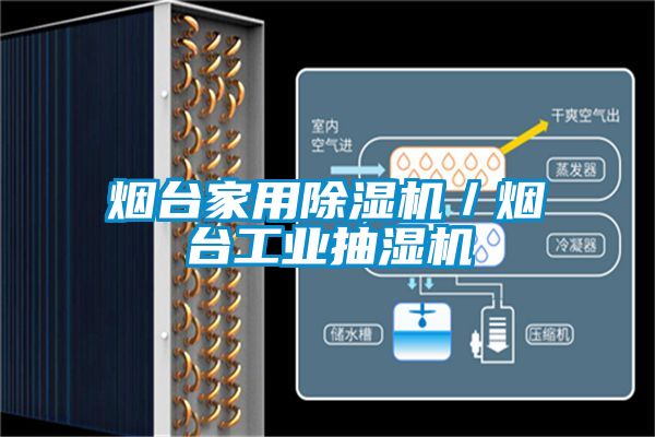 煙台家用草莓视频下载网址／煙台工業抽濕機