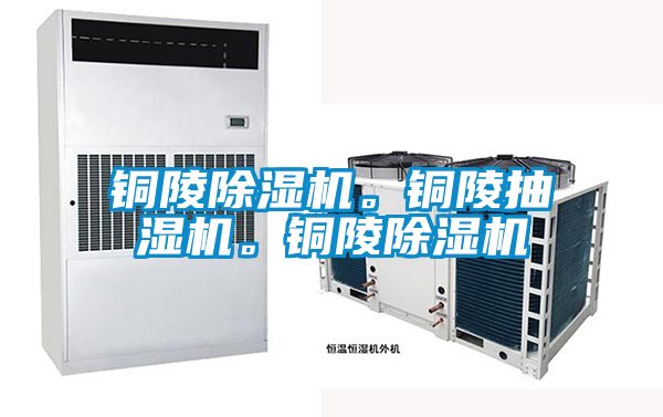 銅陵草莓视频下载网址。銅陵抽濕機。銅陵草莓视频下载网址