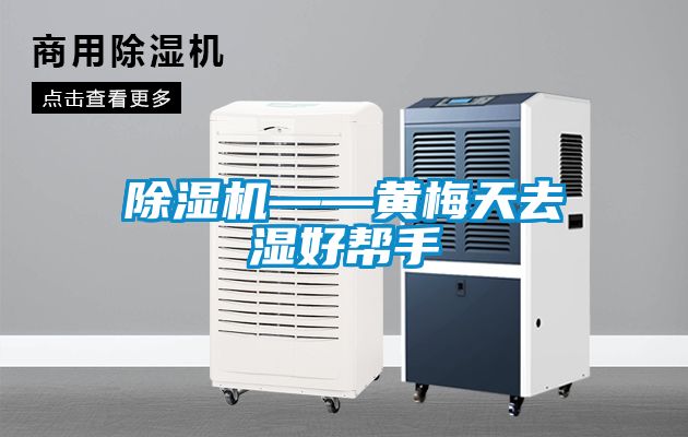草莓视频下载网址——黃梅天去濕好幫手