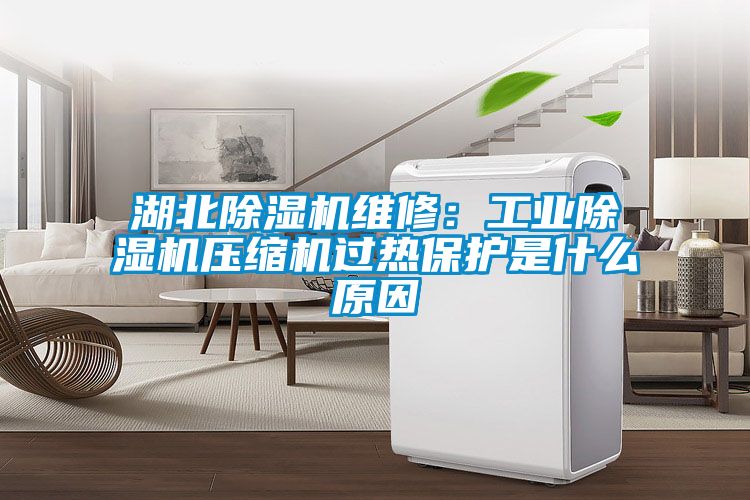 湖北草莓视频下载网址維修：工業草莓视频下载网址壓縮機過熱保護是什麽原因