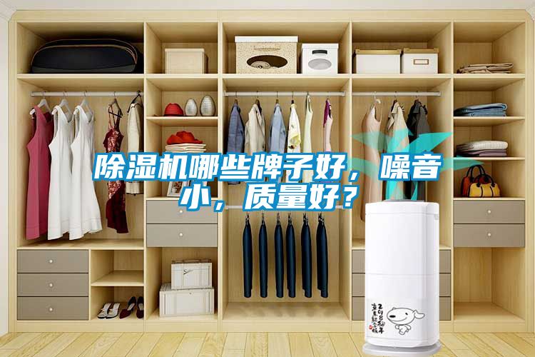 草莓视频下载网址哪些牌子好，噪音小，質量好？