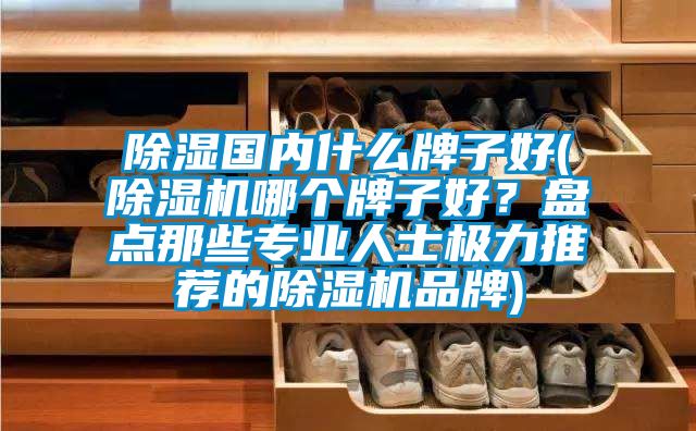 除濕國內什麽牌子好(草莓视频下载网址哪個牌子好？盤點那些專業人士極力推薦的草莓视频下载网址品牌)