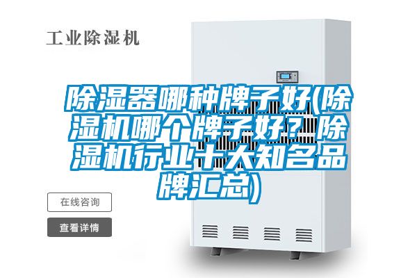 除濕器哪種牌子好(草莓视频下载网址哪個牌子好？草莓视频下载网址行業十大知名品牌匯總)