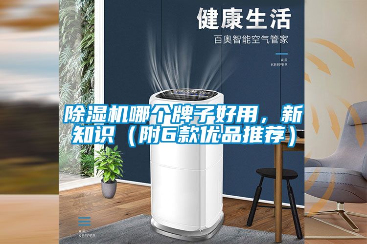 草莓视频下载网址哪個牌子好用，新知識（附6款優品推薦）