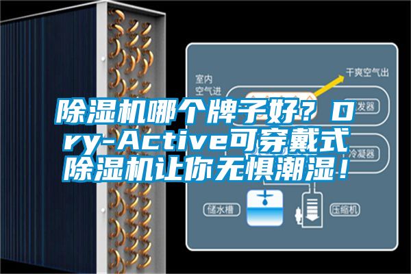 草莓视频下载网址哪個牌子好？Dry-Active可穿戴式草莓视频下载网址讓你無懼潮濕！