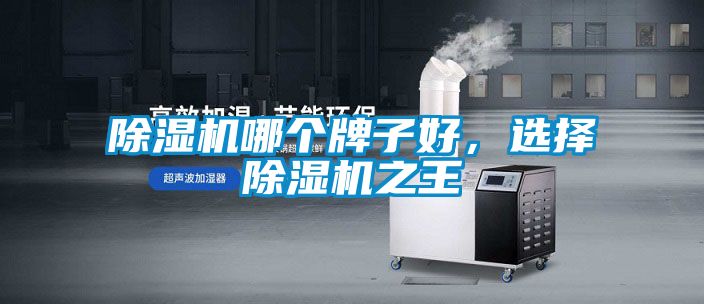 草莓视频下载网址哪個牌子好，選擇草莓视频下载网址之王