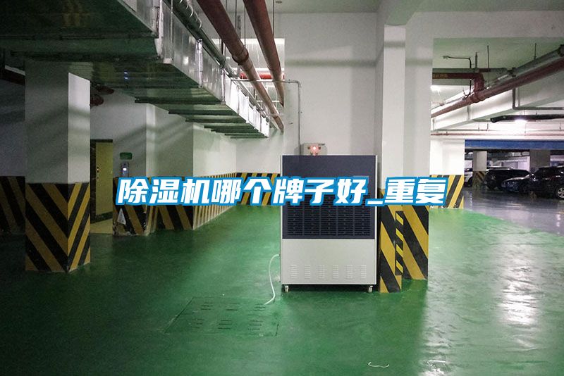草莓视频下载网址哪個牌子好_重複