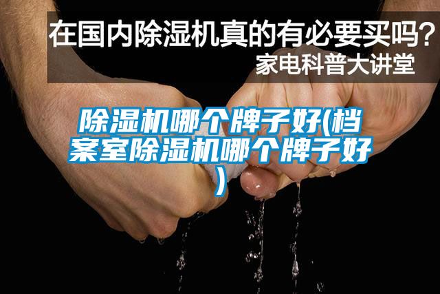 草莓视频下载网址哪個牌子好(檔案室草莓视频下载网址哪個牌子好)