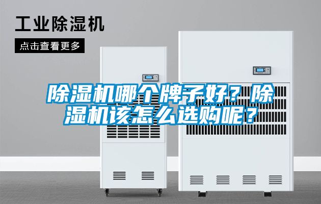 草莓视频下载网址哪個牌子好？草莓视频下载网址該怎麽選購呢？