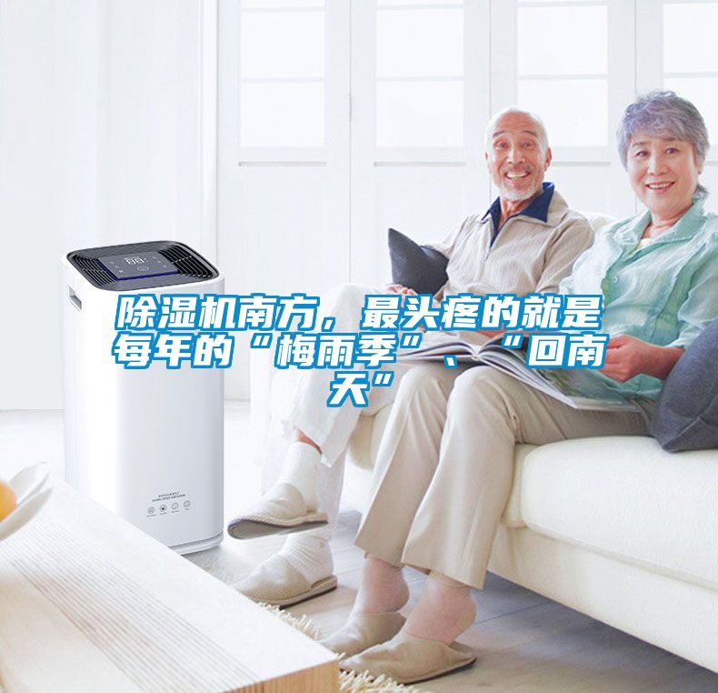 草莓视频下载网址南方，最頭疼的就是每年的“梅雨季”、“回南天”