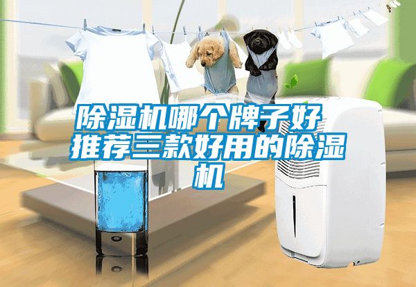 草莓视频下载网址哪個牌子好 推薦三款好用的草莓视频下载网址