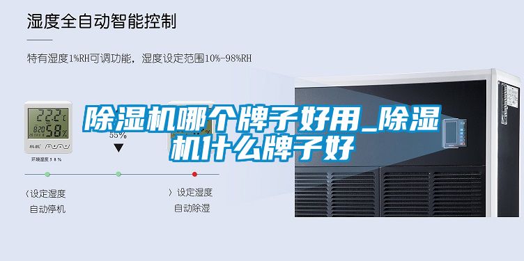 草莓视频下载网址哪個牌子好用_草莓视频下载网址什麽牌子好