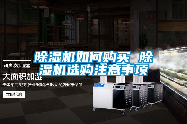 草莓视频下载网址如何購買 草莓视频下载网址選購注意事項