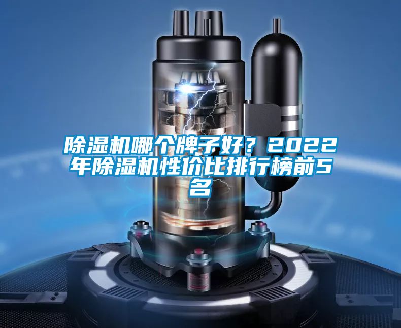 草莓视频下载网址哪個牌子好？2022年草莓视频下载网址性價比排行榜前5名