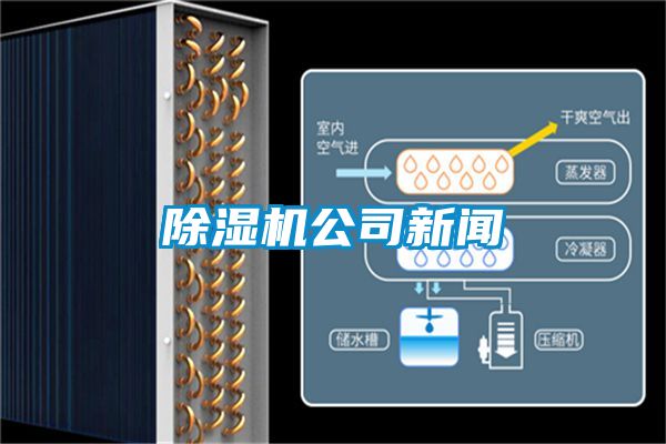 草莓视频下载网址公司新聞