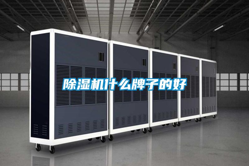草莓视频下载网址什麽牌子的好