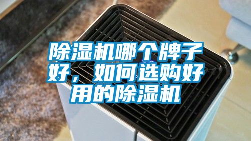 草莓视频下载网址哪個牌子好，如何選購好用的草莓视频下载网址