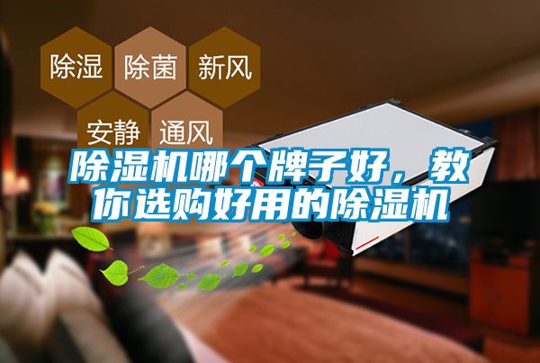 草莓视频下载网址哪個牌子好，教你選購好用的草莓视频下载网址