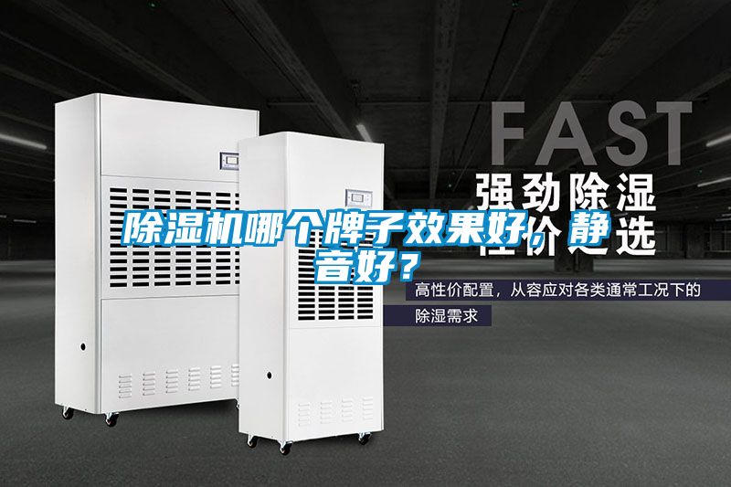 草莓视频下载网址哪個牌子效果好，靜音好？