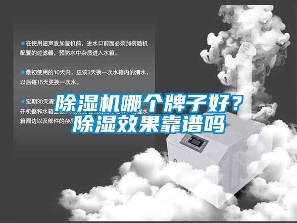 草莓视频下载网址哪個牌子好？除濕效果靠譜嗎