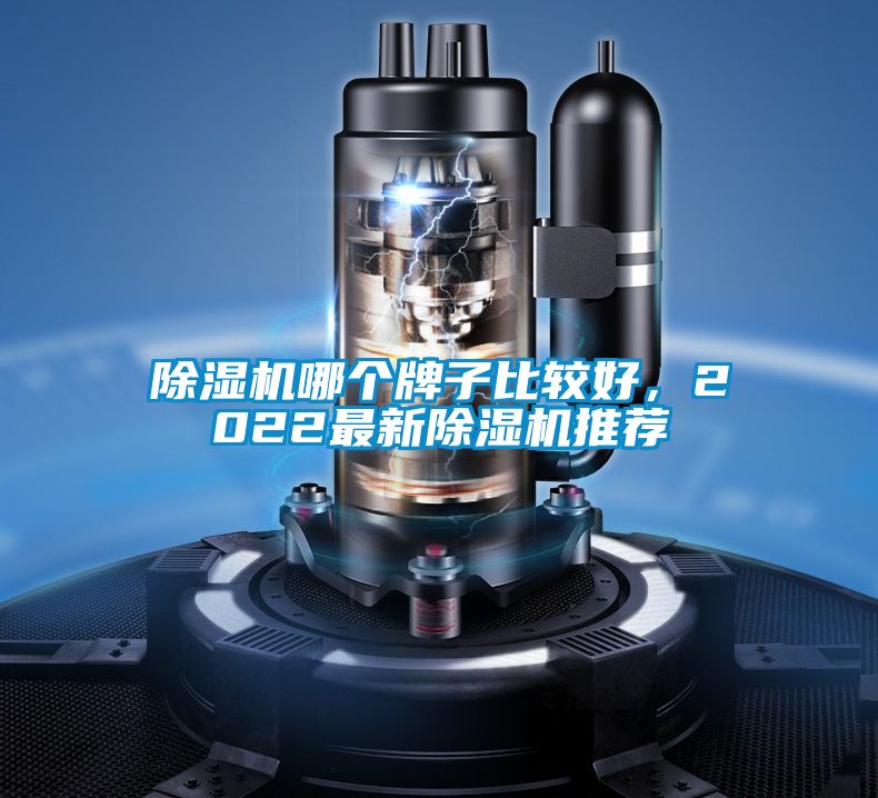 草莓视频下载网址哪個牌子比較好，2022最新草莓视频下载网址推薦